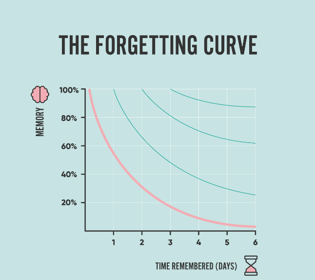 Forgetting curve